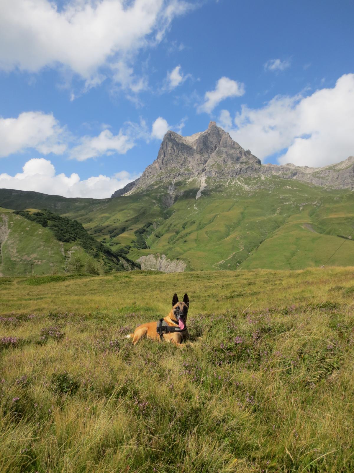 Pause - mit dem Widderstein im Hintergrund